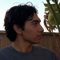 Diego Solis